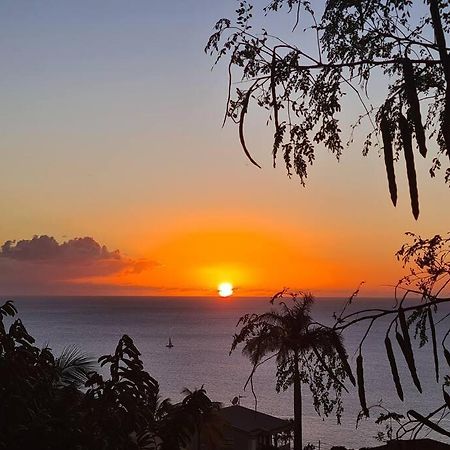 Ti Sucrier Jaune - Douceur Caraibe Vue Mer Le Carbet Luaran gambar