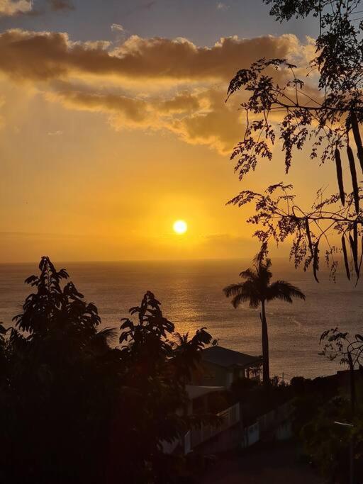Ti Sucrier Jaune - Douceur Caraibe Vue Mer Le Carbet Luaran gambar