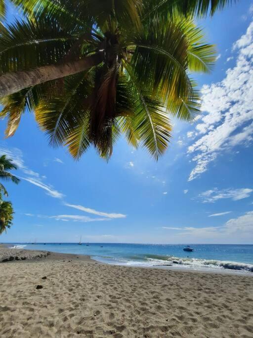 Ti Sucrier Jaune - Douceur Caraibe Vue Mer Le Carbet Luaran gambar