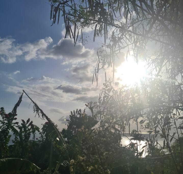 Ti Sucrier Jaune - Douceur Caraibe Vue Mer Le Carbet Luaran gambar