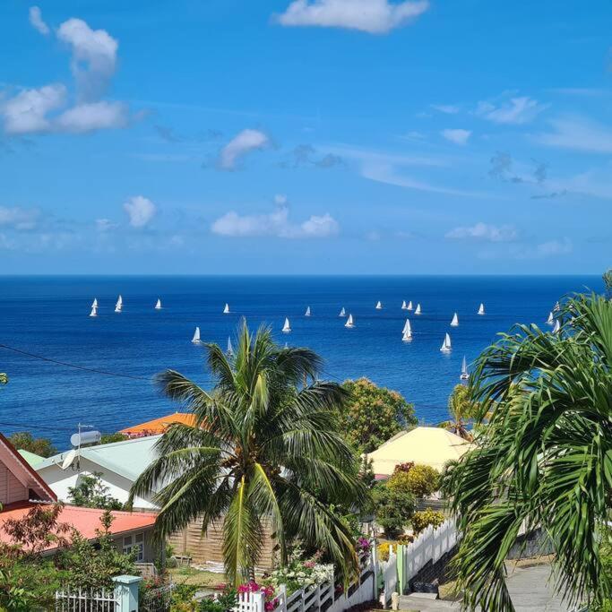 Ti Sucrier Jaune - Douceur Caraibe Vue Mer Le Carbet Luaran gambar