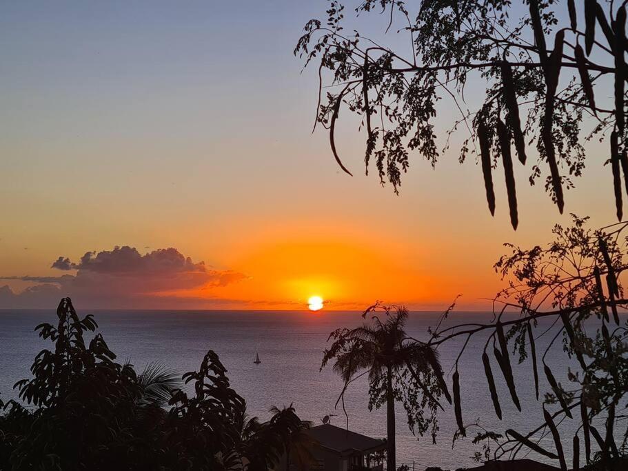 Ti Sucrier Jaune - Douceur Caraibe Vue Mer Le Carbet Luaran gambar