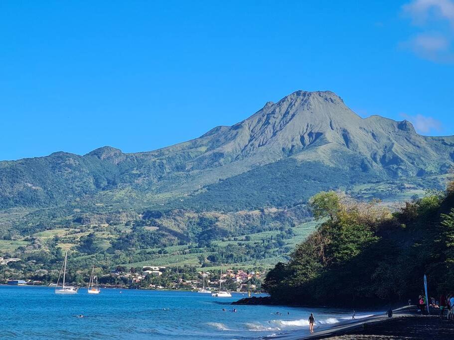 Ti Sucrier Jaune - Douceur Caraibe Vue Mer Le Carbet Luaran gambar