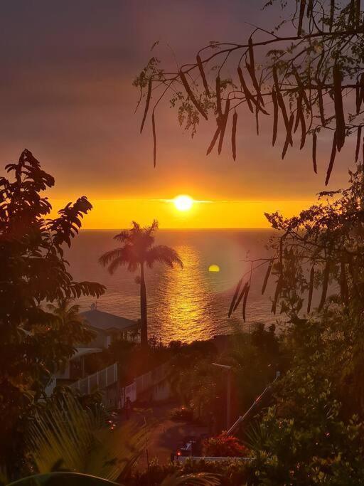 Ti Sucrier Jaune - Douceur Caraibe Vue Mer Le Carbet Luaran gambar